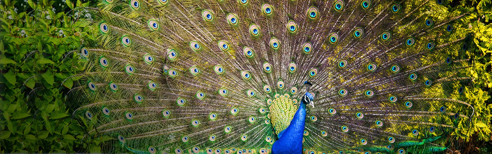 OursuppliernetworkBanImg Best Builders Channel Partner In Chennai