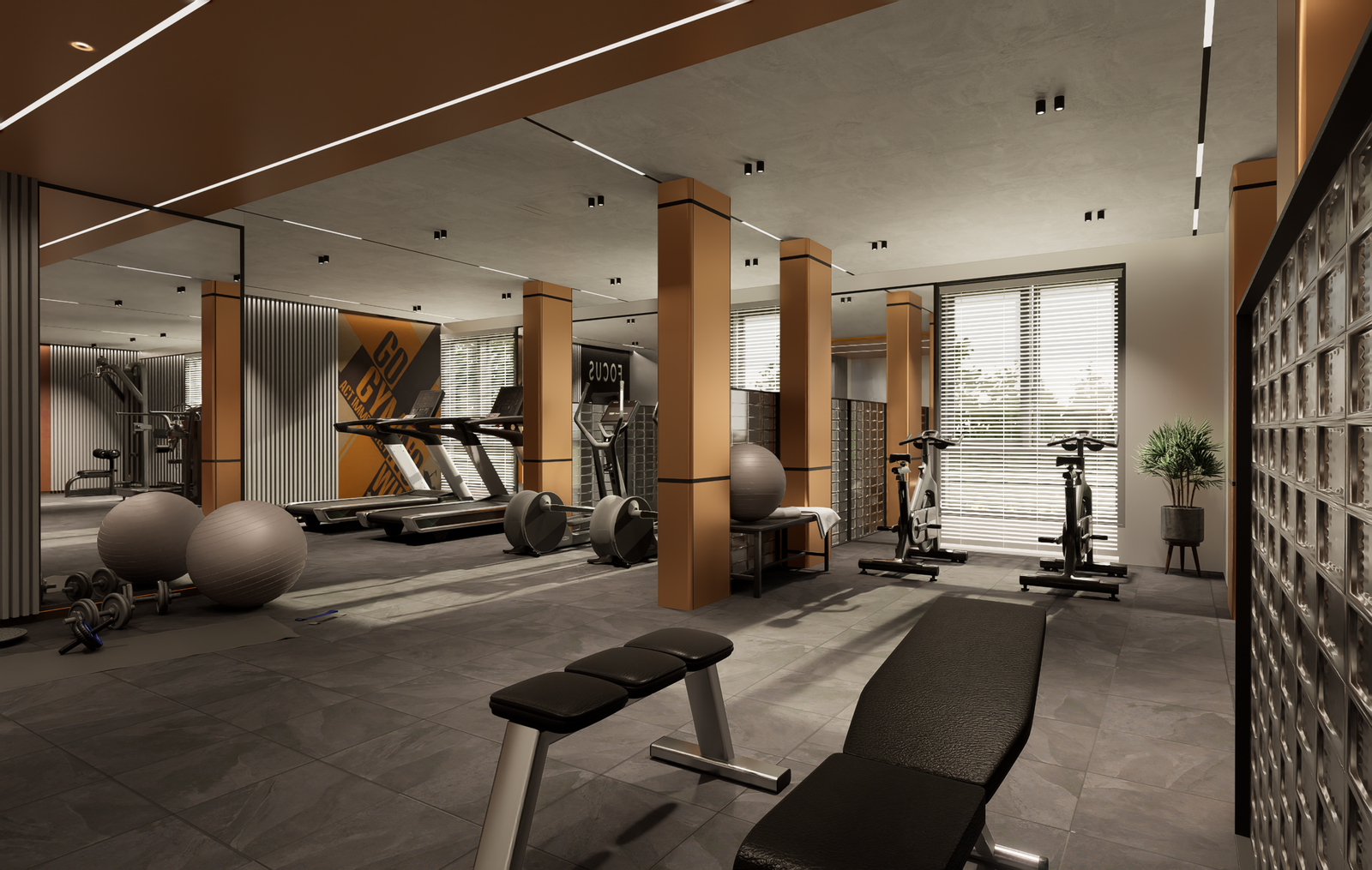 GYM1